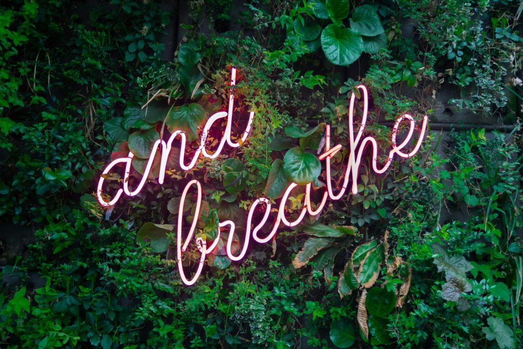 neon sign on a leafy background that sayd, and breathe