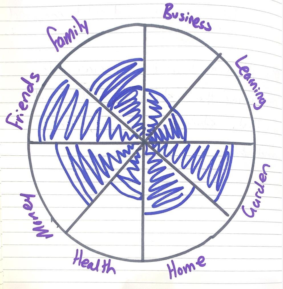 My wheel of life in July that shows my self-rating on eight areas, family, business, learning, garden, home, health, money and friends.