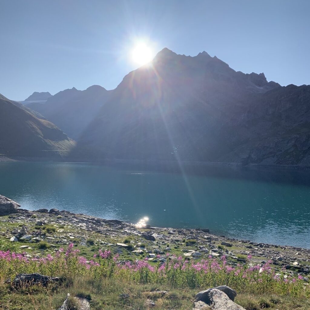 The sun shining out behind a mountain with a blue lake in the mid ground and rocky terrain in the foreground with a row of pink flowers.